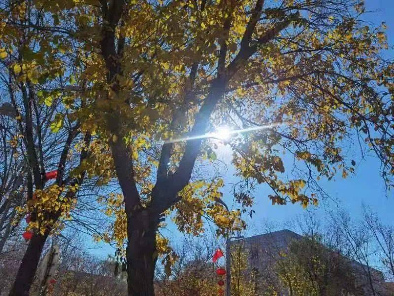 同样观测太阳，“羲和号”与风云三号E星有何不同？