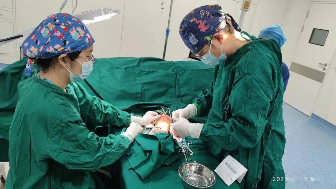 造血|【医患一家】新突破! 我院肾内科首例人造血管内瘘术成功实施