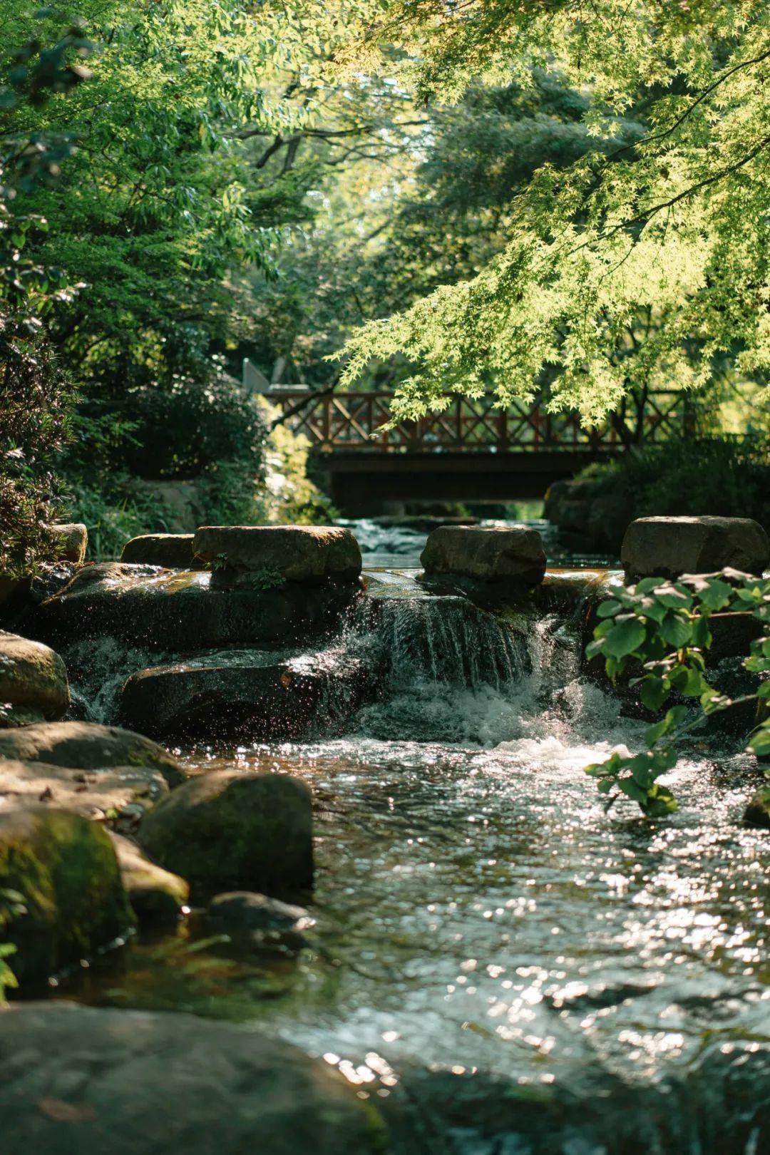 西湖|元旦可用，私享西湖边避世秘境，百亩茶园溪流环绕，270°坐拥无敌视野！