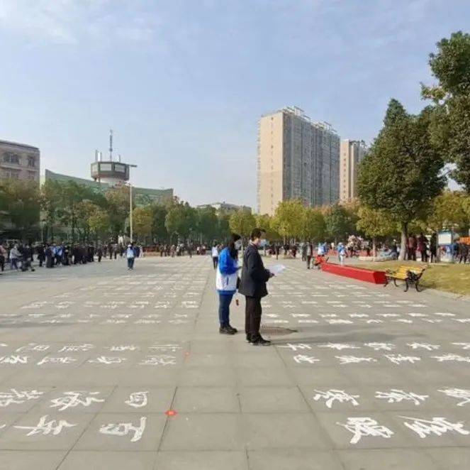 第五届全区地书大赛在纱帽成功举办_艺术