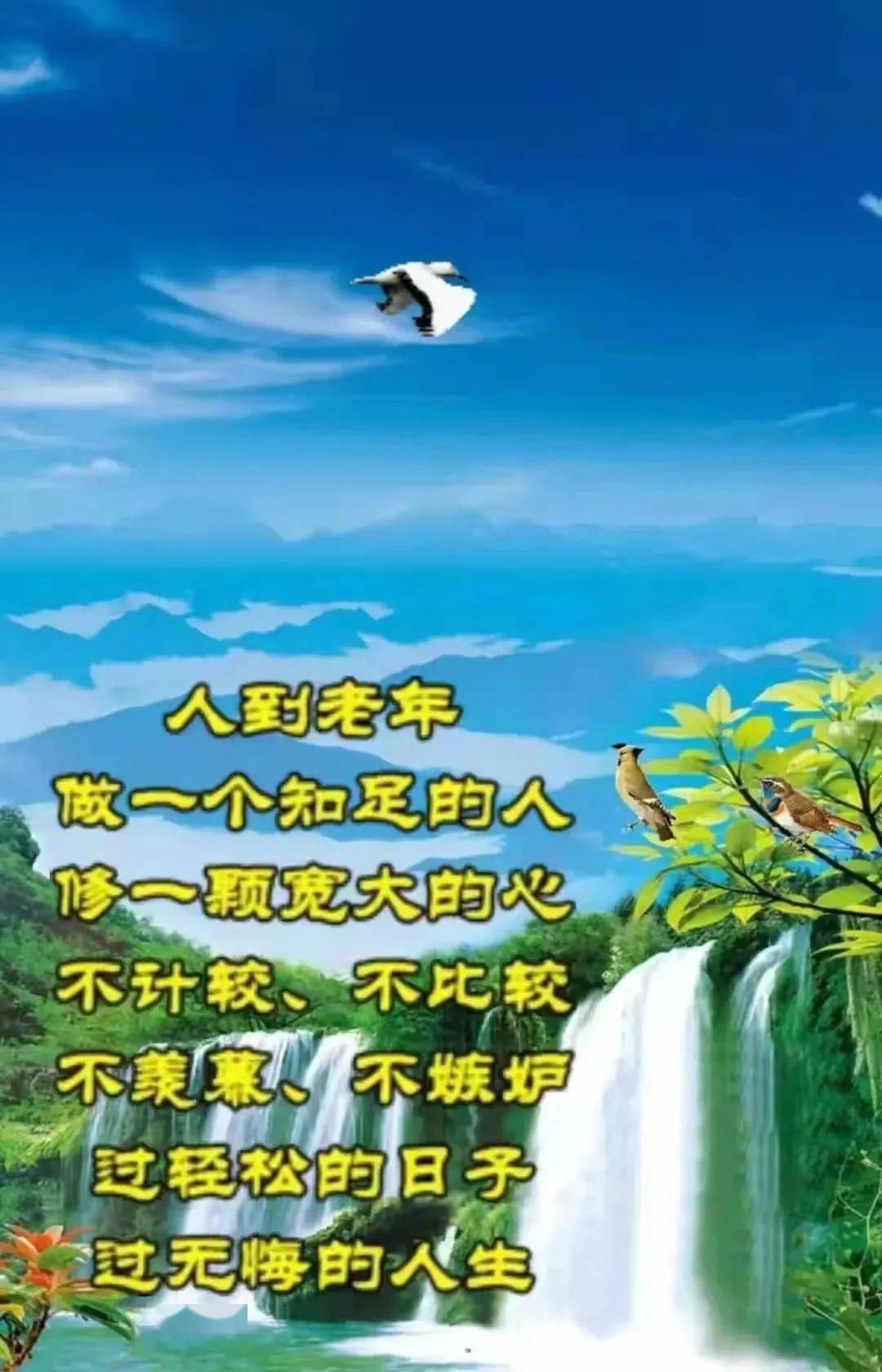 早上好最新高清圖片祝福語聊天早上好問候表情包文字精選