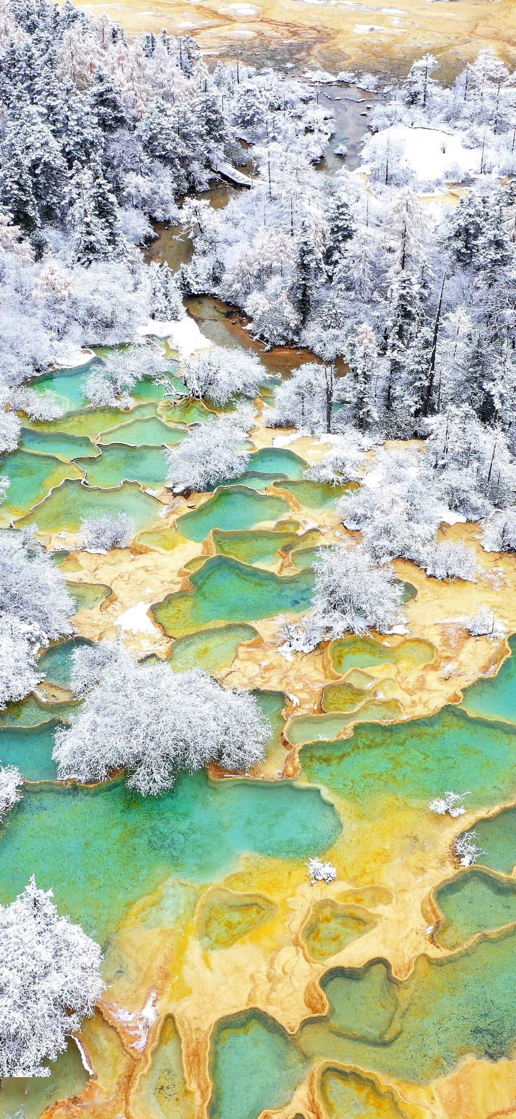 黄龙|美图暴击！｜雪中黄龙景区如仙境，看钙华池与白雪融合之美！