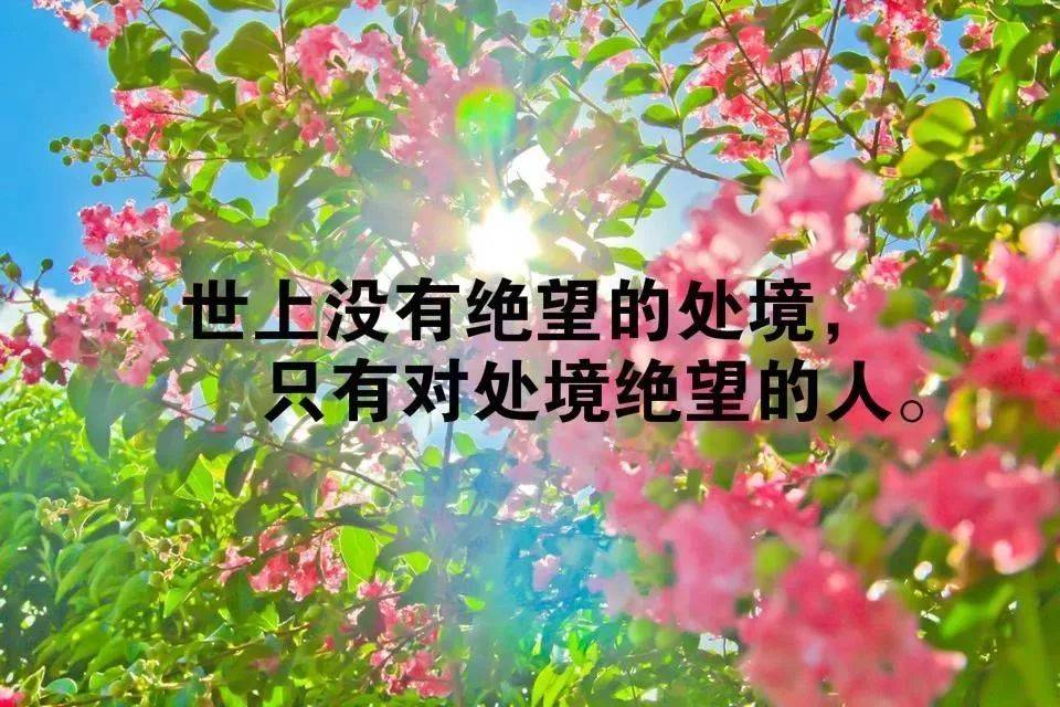 目光所及之處,就是自己的人生境界.