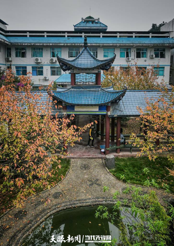 天柱县人民医院满院秋色惹人醉