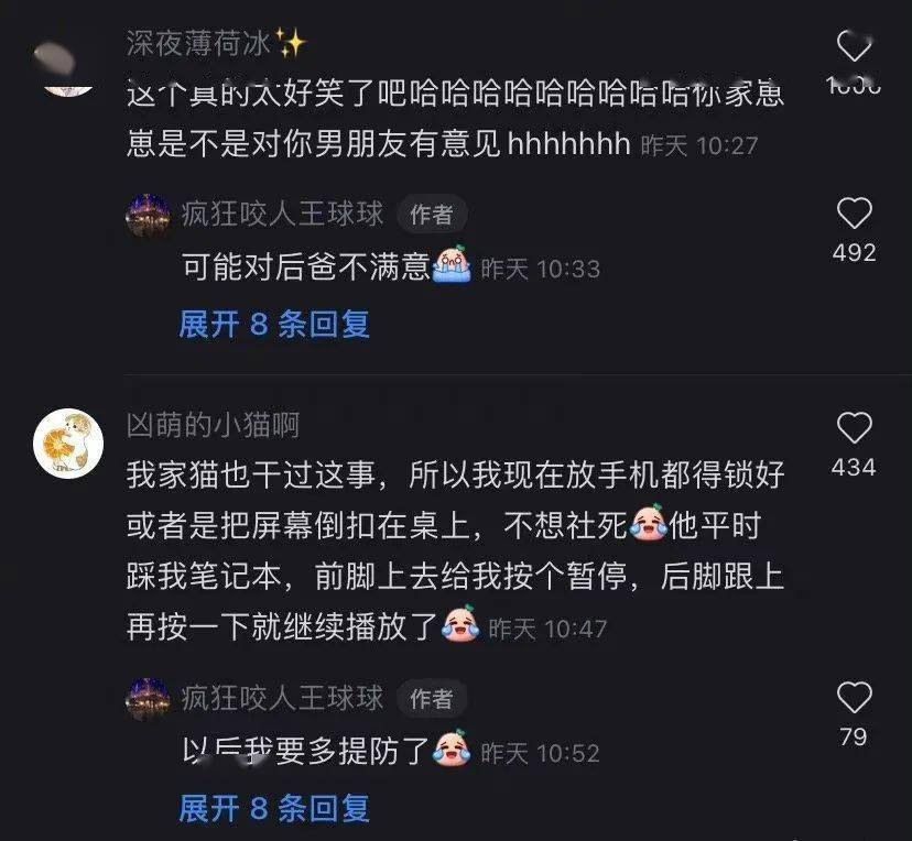 貓咪半夜給前任發了條消息？？不結婚很難收場kswl 搞笑整蠱 第6张
