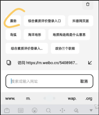 浏览器|昏迷前最后的倔强，是清空浏览器记录