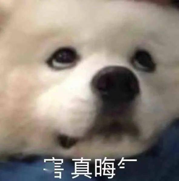 千萬！不要輕易當老師！否則…差點被網友們給笑死！ 搞笑整蠱 第1张