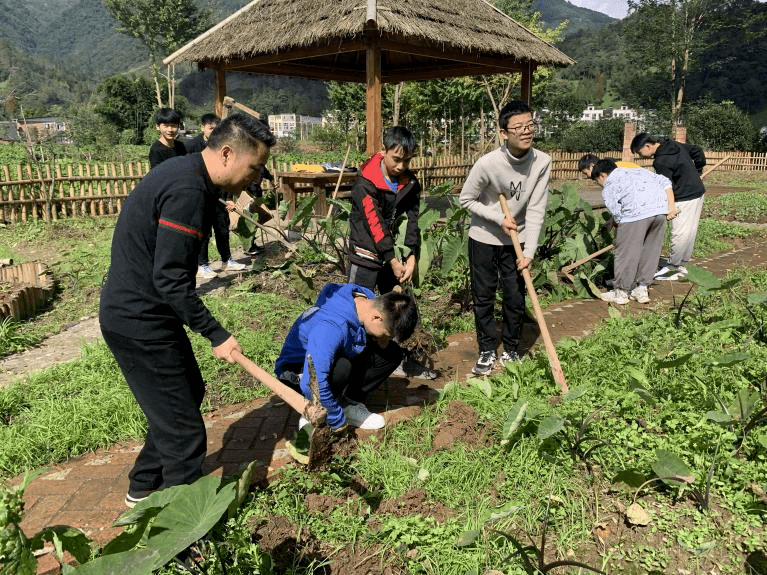 教育|落实“双减”，大邑教育在行动（二十七）