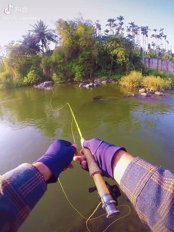 钓鱼 野钓 毛钩绑制 飞钓毛钩 飞钓