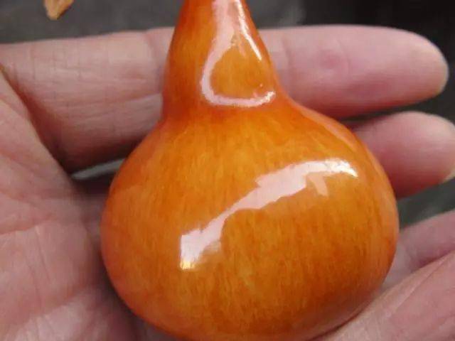 带你了解葫芦的各部位