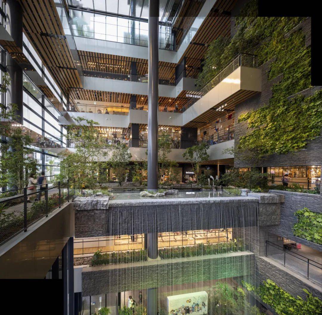 室内立体森林▲一层大厅景观▲自然式种植营造的静谧苏州幼熊公寓古