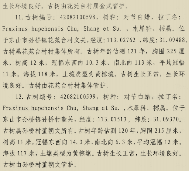 京山市新增三级保护古树名木目录公布!一起来保护