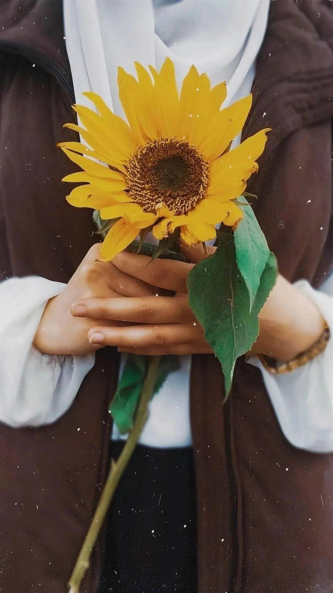 苹果手机壁纸高清全面屏好看 c1fcad1549bd43498c7c08a5058d1df7.jpeg