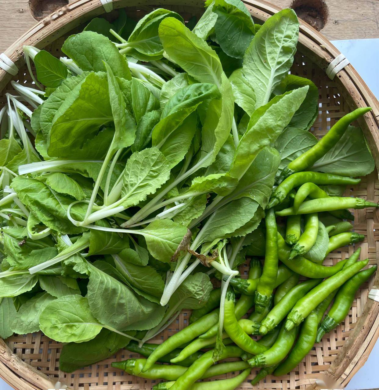 盆栽白菜的种植方法只要土壤疏松,撒下的种子,浇水了之后放在温暖向阳