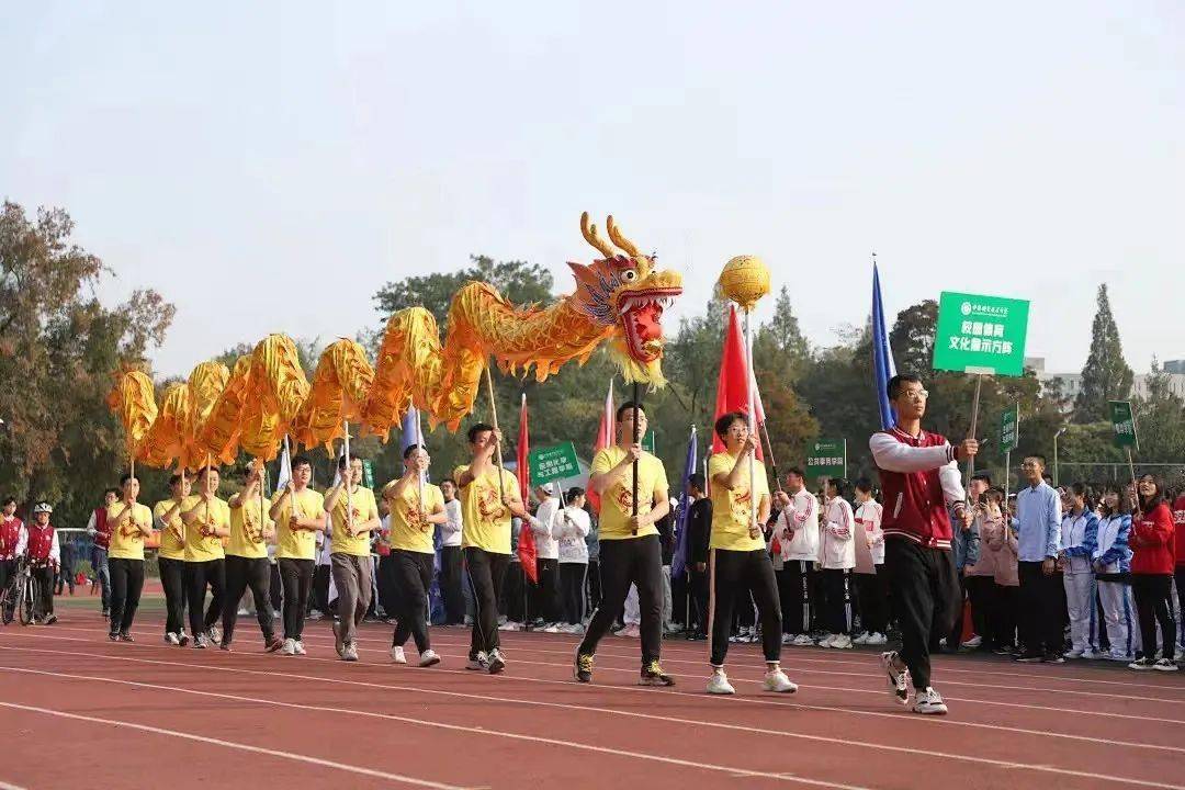 热血!安徽高校运动会合集来了!