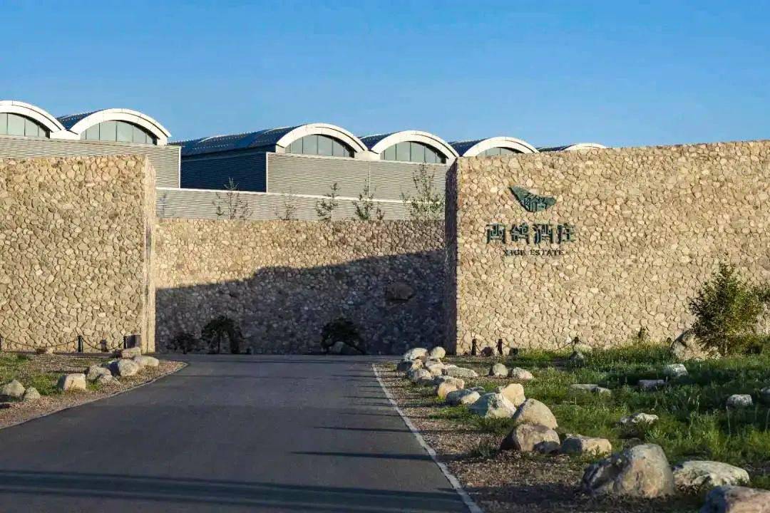 贺兰晴|线上云赏秋——疫情过后,来一场浪漫的酒庄之旅!