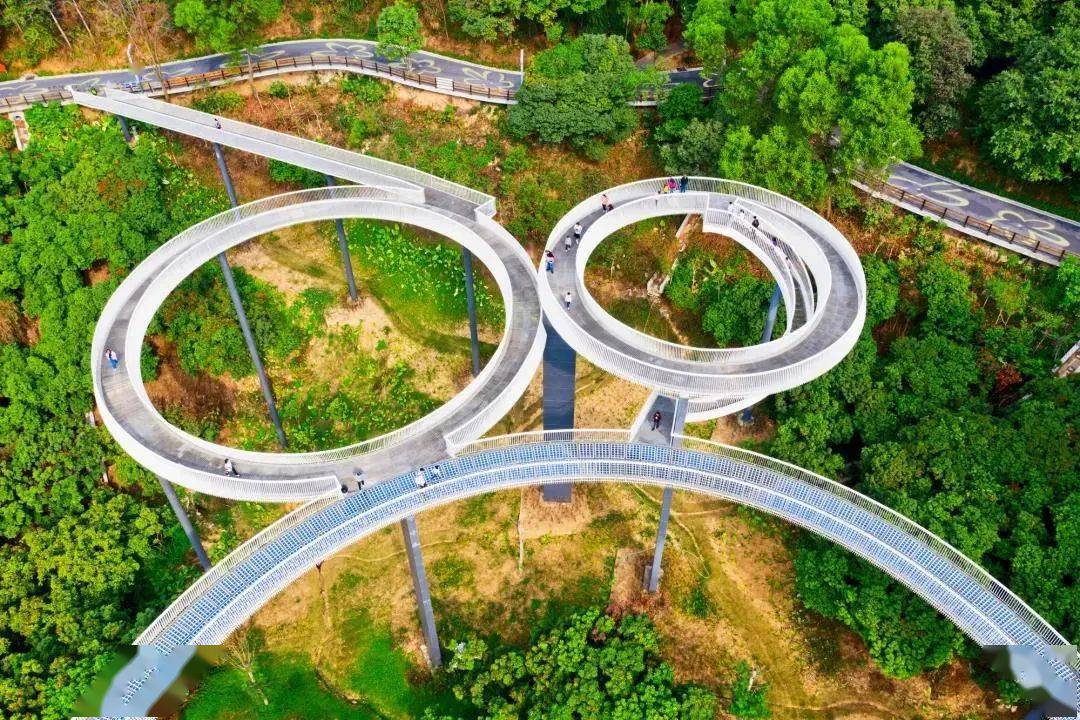 陌上花公园遇见狗尾巴草的秋天,美拍光明虹桥!_大片