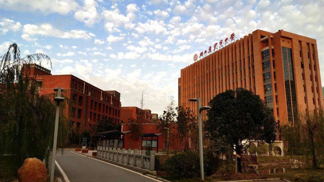 征文选粹庆祝沙市中学80周年华诞征文选粹二