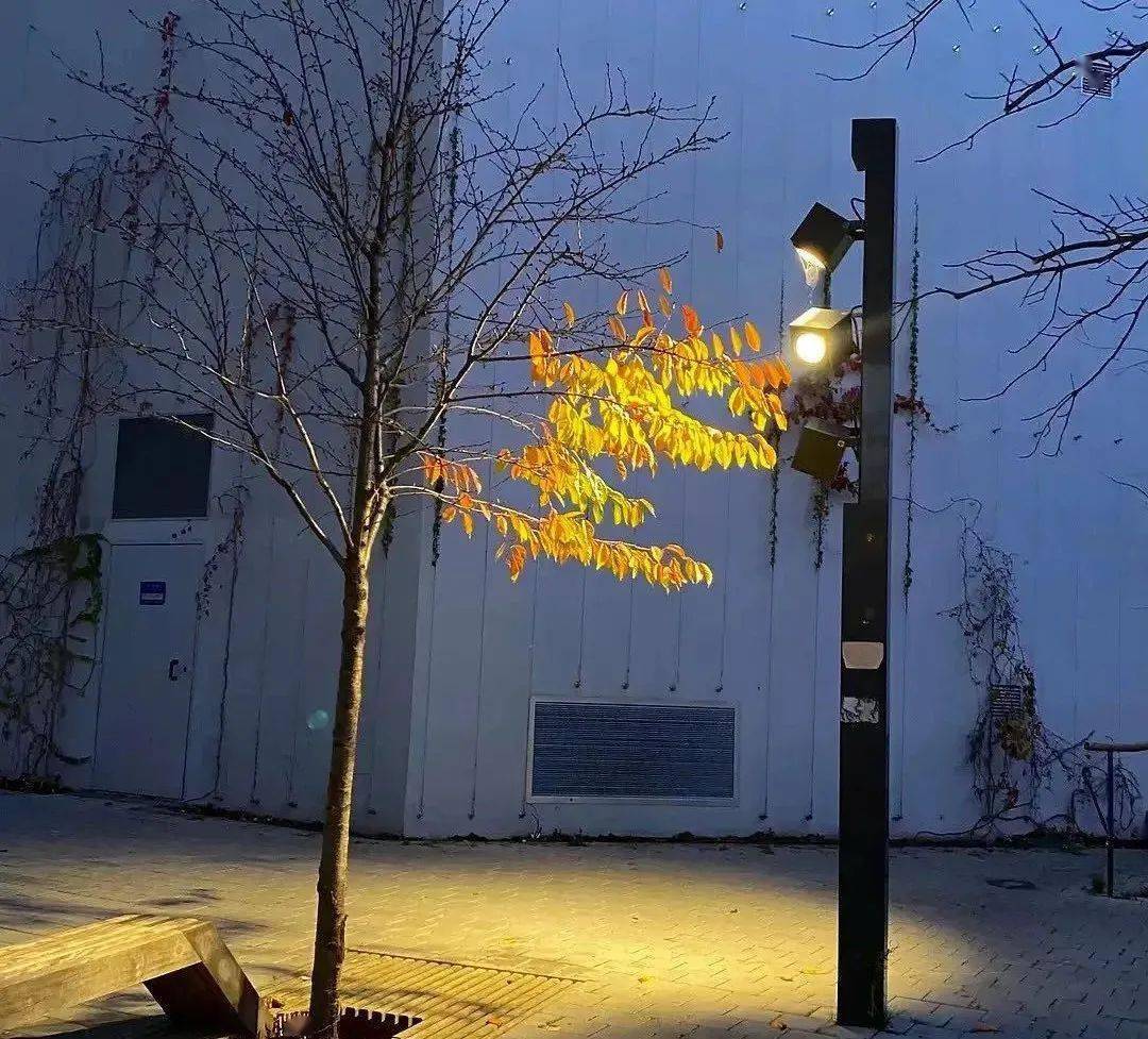 烦透了|朋友圈最杀你的照片，仅此一张就赢了