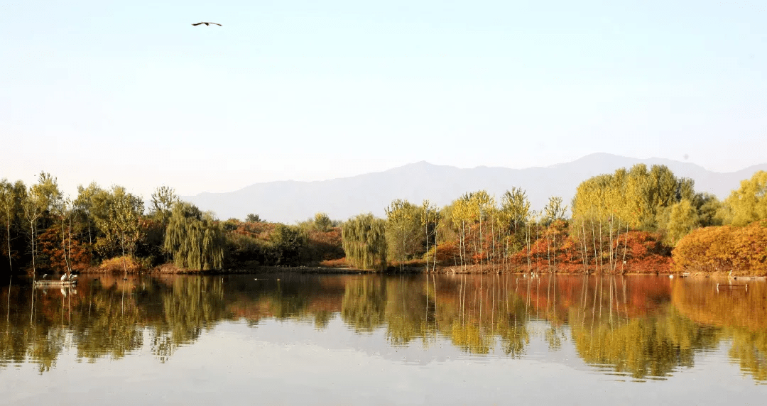 这个北京绝美的国家湿地公园大部分人都没来过，一起看看它的秋天