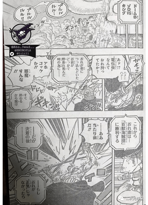 重磅海贼王1031全图透