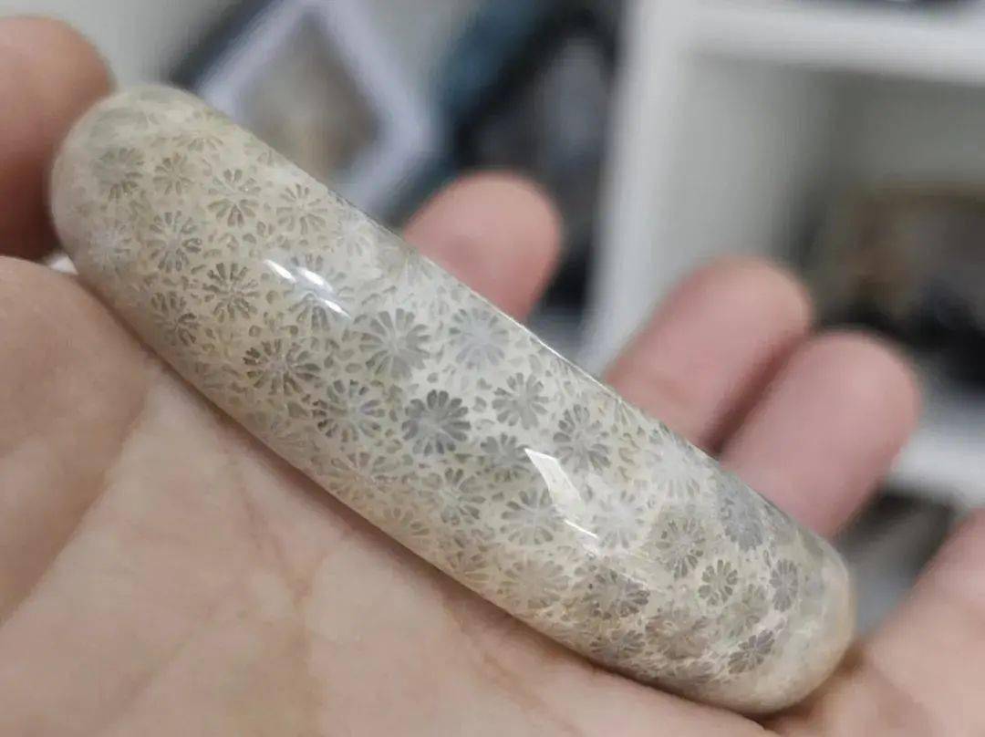 带你认识珊瑚玉的十种花型