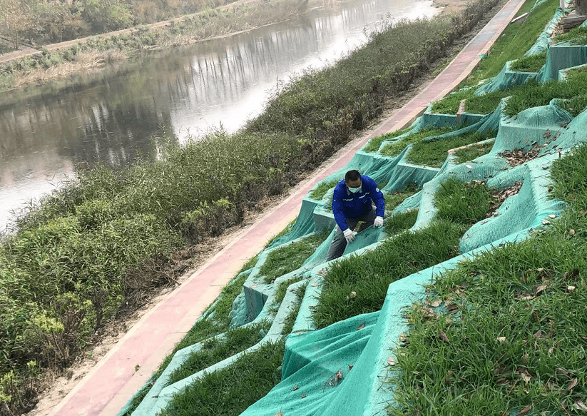 主体工程|凉水河岸边咋有“梯田”和“蜂窝”？明春将呈现特色美景