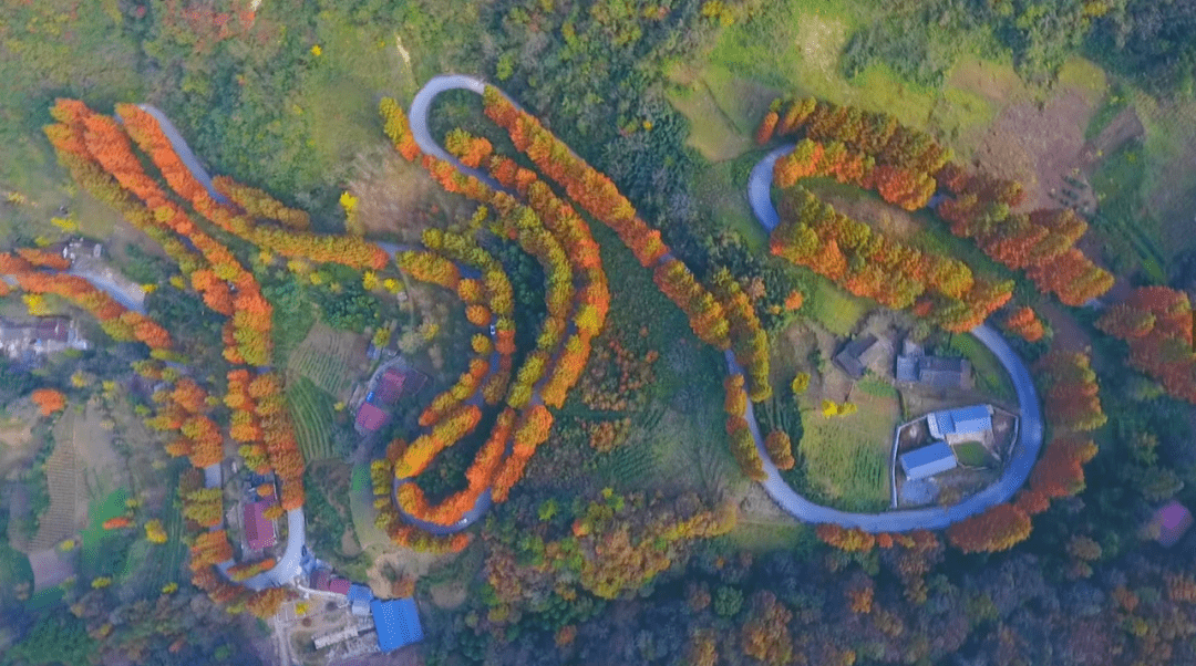 红石梁秋景好美呀,等你来打卡……_镇巴县