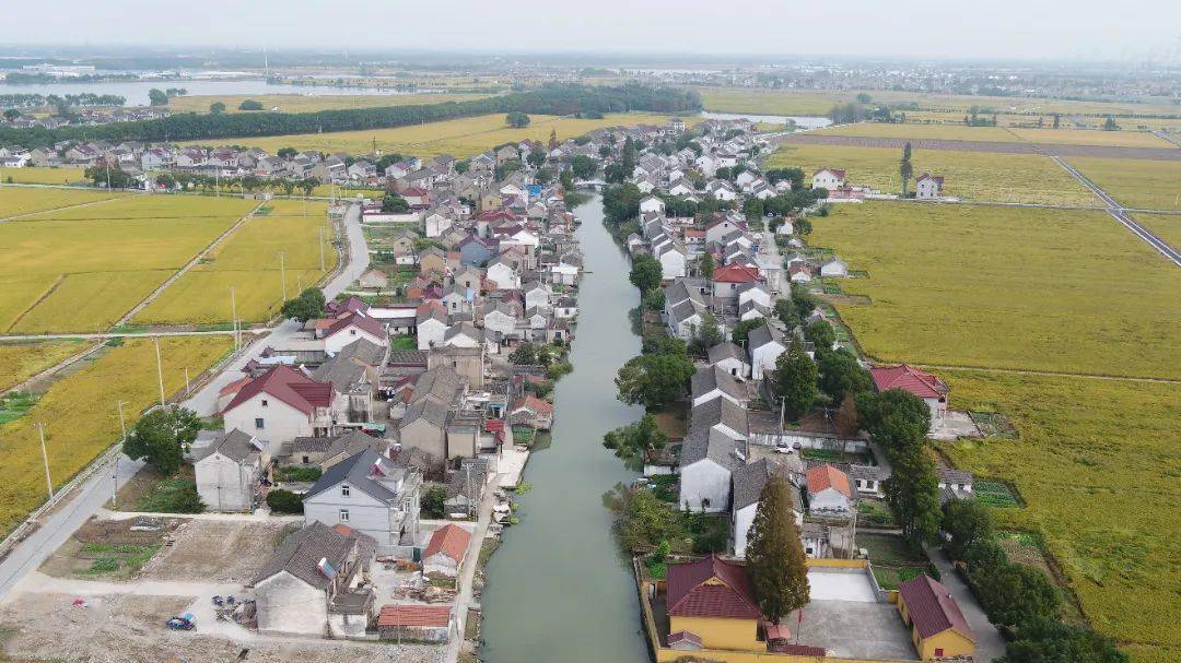 西塘镇鸦鹊村:乘着东风奔"共富" | 走百村 看共富_村民