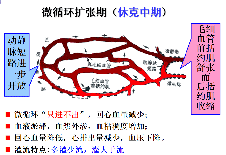 休克早期图片