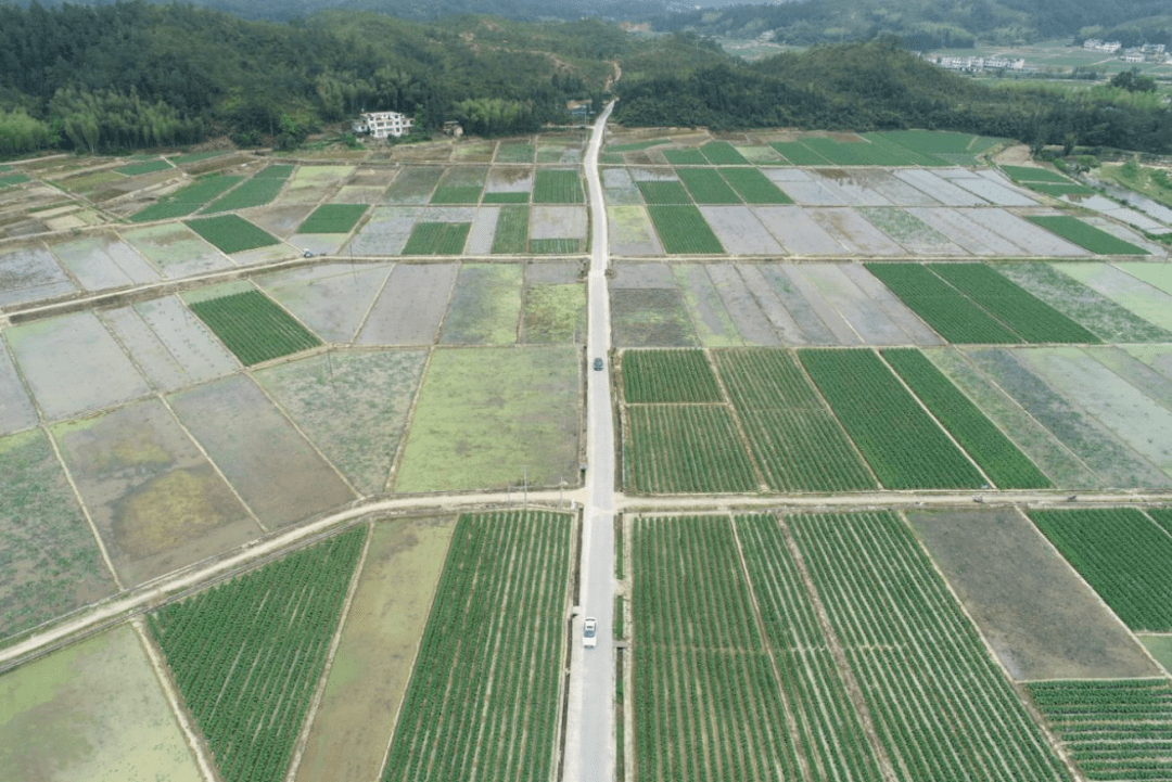 龙南市临塘飞机场图片