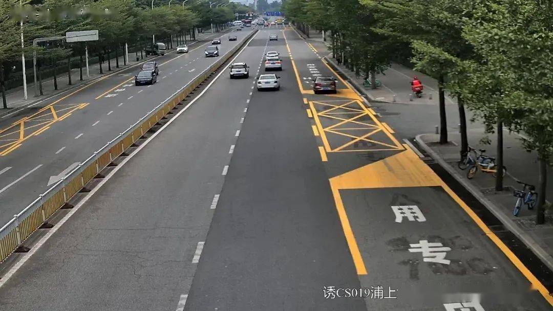 注意福建首条hov车道上线违法通行将处罚