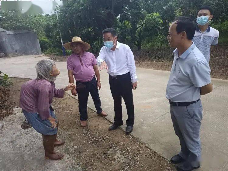 电白林头全面落实农村人居环境整治