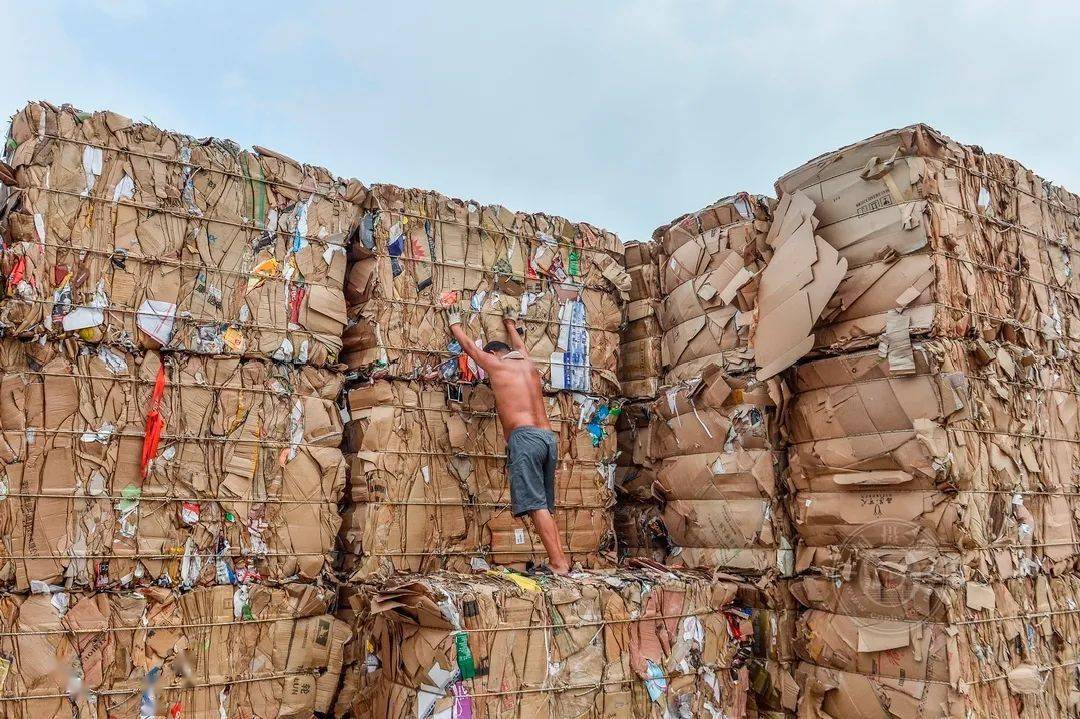 浙江省|2021丽水摄影节 | 《我和地球争呼吸》郑祖林摄影作品展