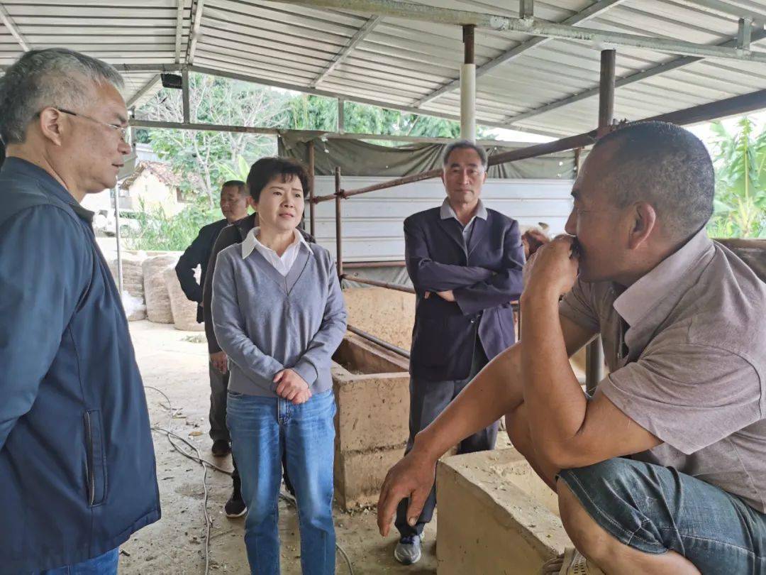 温仕红带队到昌宁县长山村开展"双助推"行动暨"我