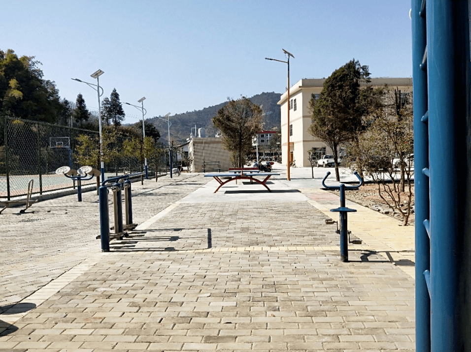 九连山镇我为群众办实事成绩单公布