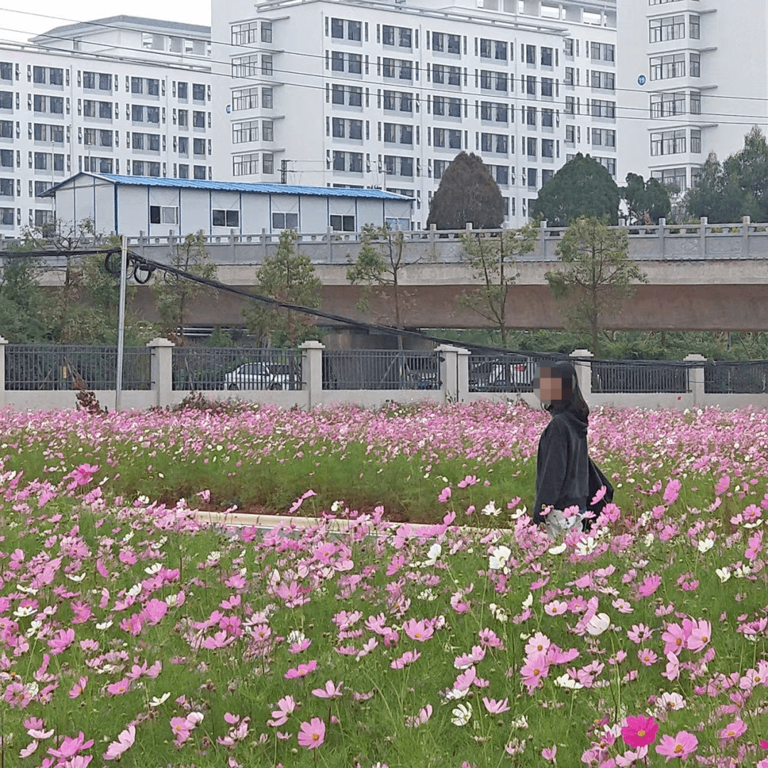 西南林業大學,竟是如此藏龍臥虎!