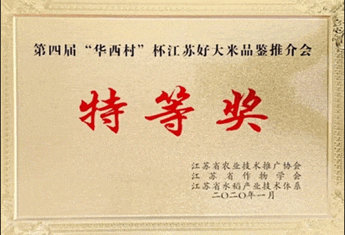 有口福了喝太湖水长大的横泾大米上市