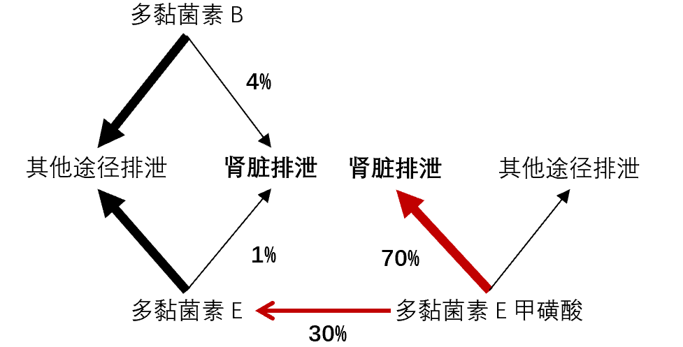 多黏菌素b和多黏菌素e主要通過非腎途徑排洩.