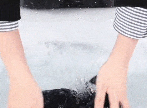 身材 79元一条！臀线提高1cm，腿长5cm，女明星筷子腿的秘密都在这