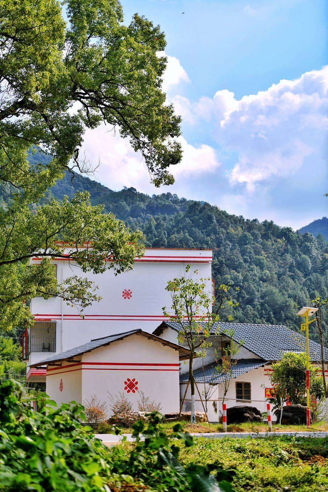 新丰县丰城街道长陂村.通向始兴县深渡水瑶族乡的蜿蜒山路.