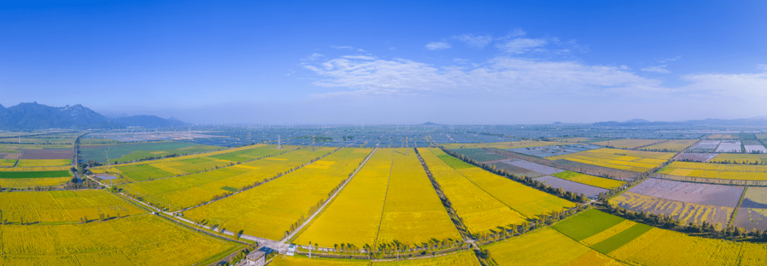 伟宗江门，处处好“丰”景！