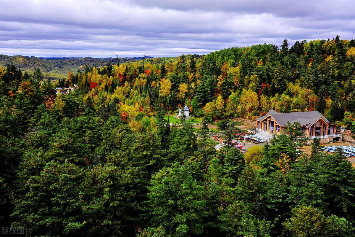 在这里你将见证中国原始的红松林伊春中国最大的森林城市