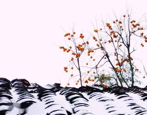 曾家山|今日立冬，四川这些地方下雪了 ！