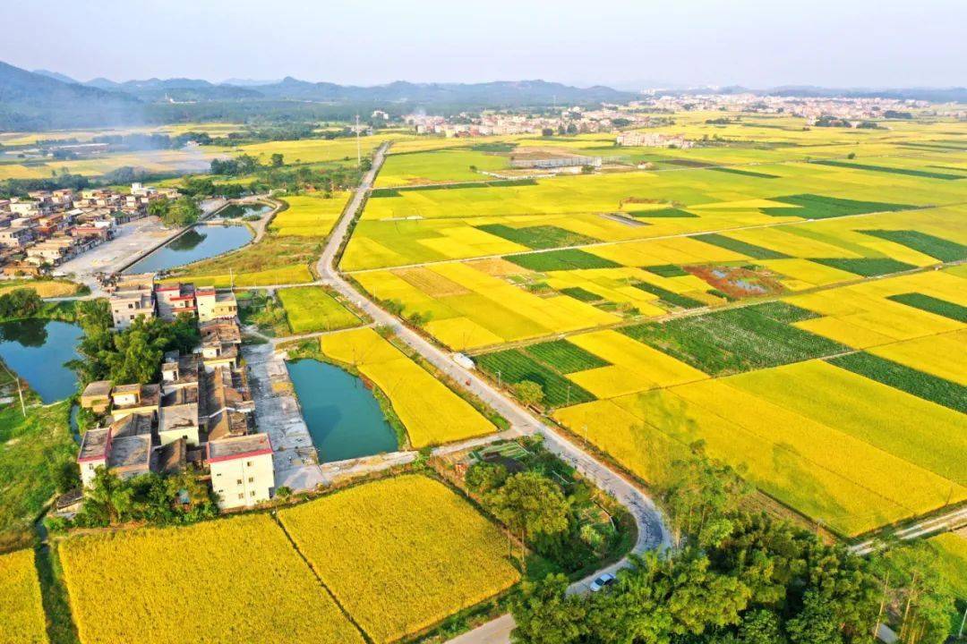 伟宗江门，处处好“丰”景！