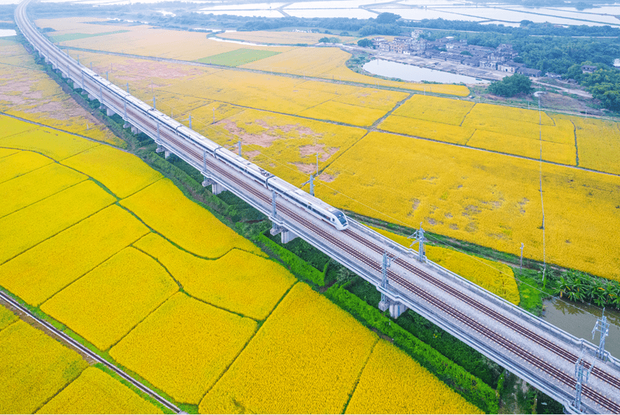 伟宗江门，处处好“丰”景！