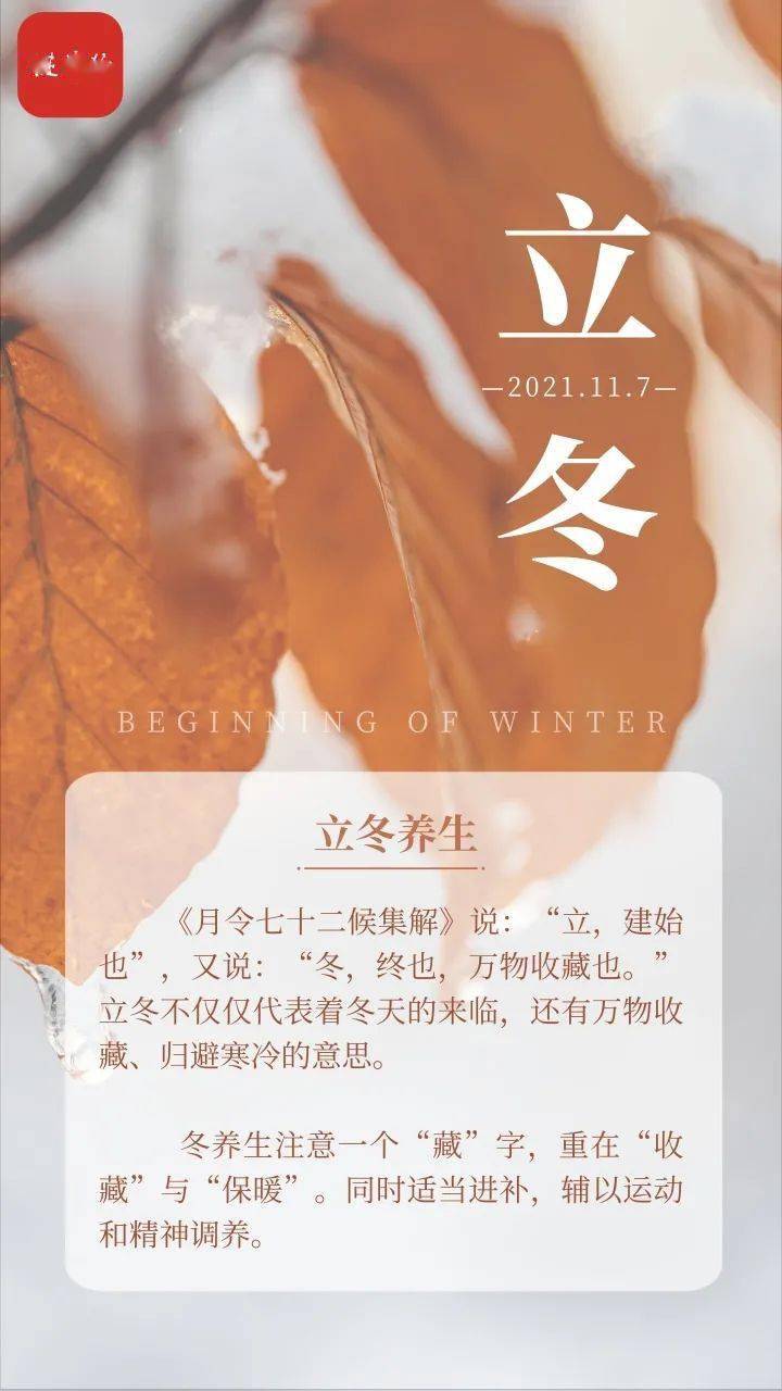 管仲瑶|今日立冬！