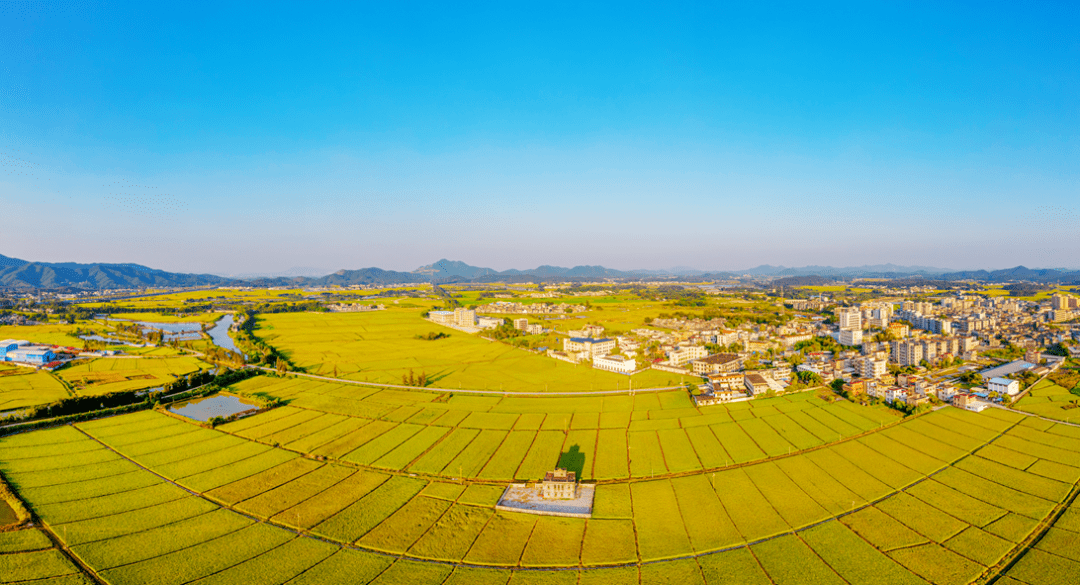 伟宗江门，处处好“丰”景！