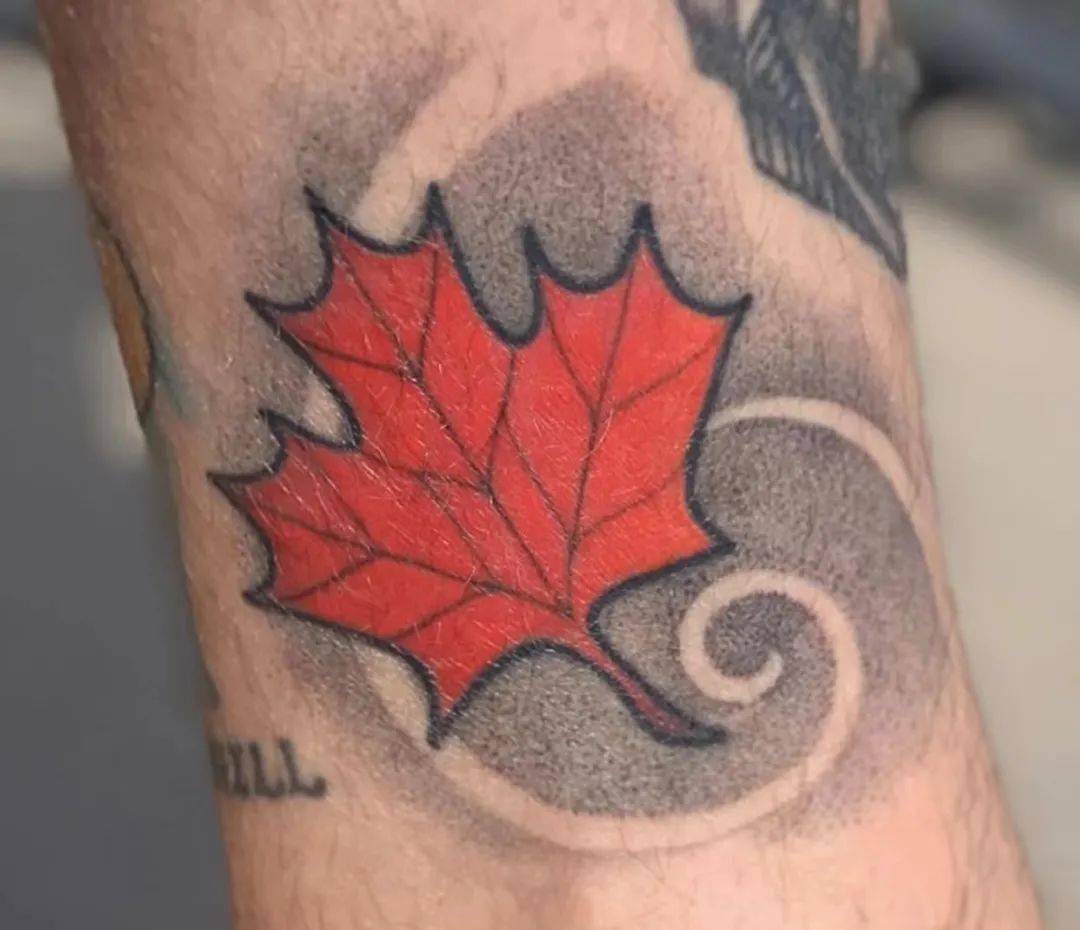 一叶知秋的枫叶纹身_枫树
