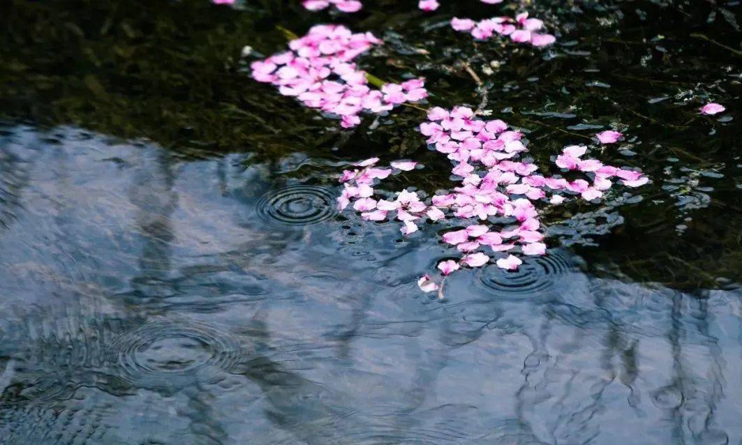 小说界·花落水空流